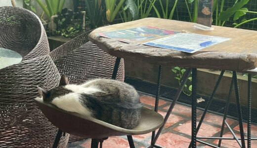 フィリピンの拳銃強盗とスリ②対策編｜移住経験者が実践した市街地での工夫